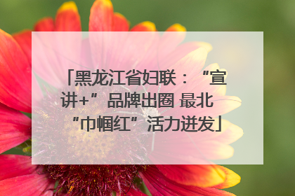 黑龙江省妇联：“宣讲+”品牌出圈 最北“巾帼红”活力迸发
