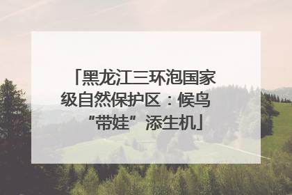 黑龙江三环泡国家级自然保护区:候鸟“带娃”添生机