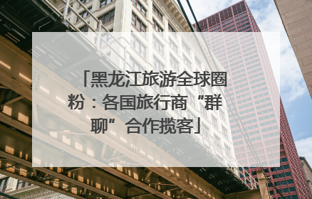 黑龙江旅游全球圈粉：各国旅行商“群聊”合作揽客