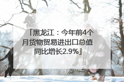 黑龙江：今年前4个月货物贸易进出口总值同比增长2.9%