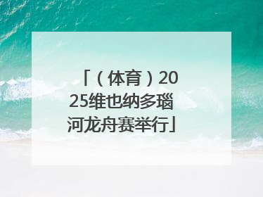 （体育）2025维也纳多瑙河龙舟赛举行
