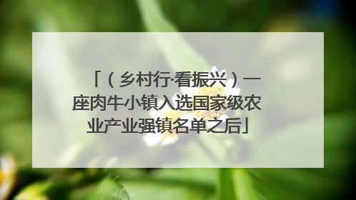 （乡村行·看振兴）一座肉牛小镇入选国家级农业产业强镇名单之后