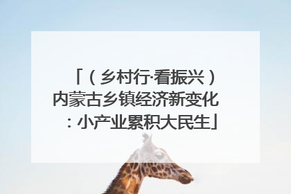 （乡村行·看振兴）内蒙古乡镇经济新变化：小产业累积大民生