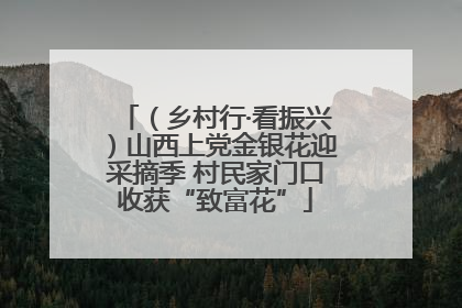 （乡村行·看振兴）山西上党金银花迎采摘季 村民家门口收获“致富花”