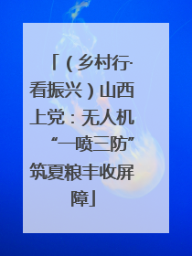 （乡村行·看振兴）山西上党：无人机“一喷三防”筑夏粮丰收屏障