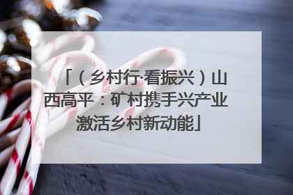 （乡村行·看振兴）山西高平：矿村携手兴产业 激活乡村新动能