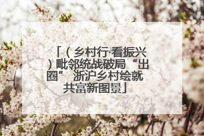 （乡村行·看振兴）毗邻统战破局“出圈” 浙沪乡村绘就共富新图景