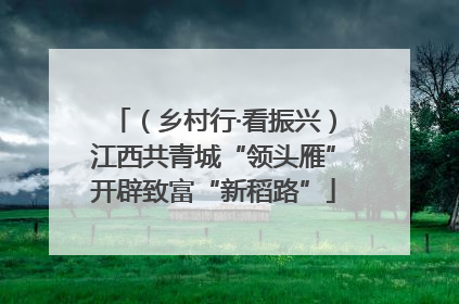 （乡村行·看振兴）江西共青城“领头雁”开辟致富“新稻路”