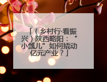 （乡村行·看振兴）陕西略阳：“小瓢儿”如何撬动亿元产业？