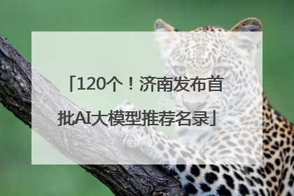 120个！济南发布首批AI大模型推荐名录