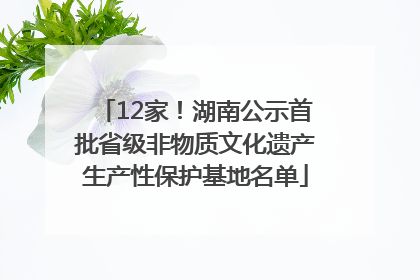 12家！湖南公示首批省级非物质文化遗产生产性保护基地名单