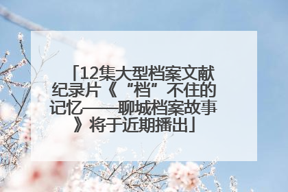 12集大型档案文献纪录片《“档”不住的记忆——聊城档案故事》将于近期播出