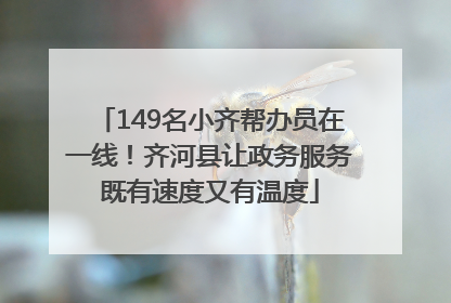 149名小齐帮办员在一线！齐河县让政务服务既有速度又有温度