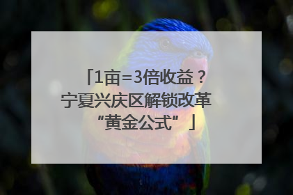 1亩=3倍收益？宁夏兴庆区解锁改革“黄金公式”