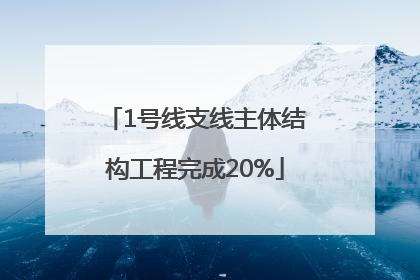 1号线支线主体结构工程完成20%