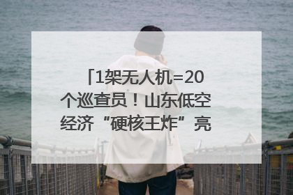 1架无人机=20个巡查员！山东低空经济“硬核王炸”亮相青岛，下一个万亿赛道藏在这里