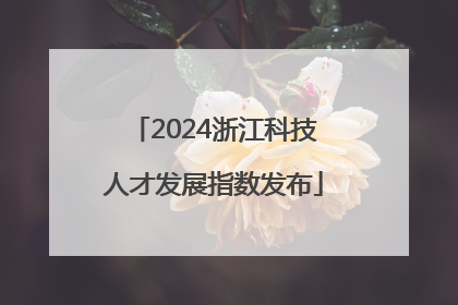 2024浙江科技人才发展指数发布