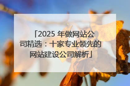 2025 年做网站公司精选：十家专业领先的网站建设公司解析