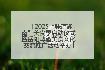 2025“味道湖南”美食季启动仪式暨岳阳啤酒美食文化交流推广活动举办