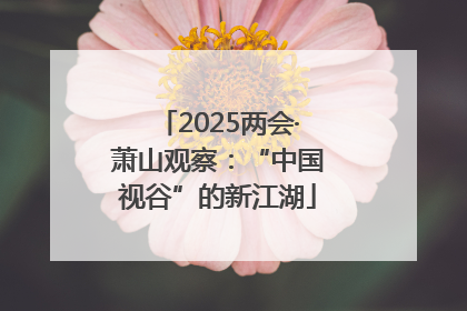 2025两会·萧山观察：“中国视谷”的新江湖