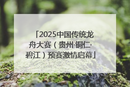 2025中国传统龙舟大赛（贵州·铜仁·碧江）预赛激情启幕