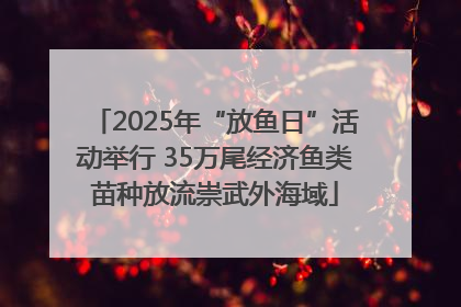 2025年“放鱼日”活动举行 35万尾经济鱼类苗种放流崇武外海域