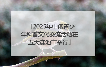 2025年中俄青少年科普文化交流活动在五大连池市举行