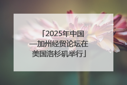 2025年中国—加州经贸论坛在美国洛杉矶举行