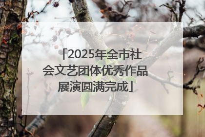 2025年全市社会文艺团体优秀作品展演圆满完成