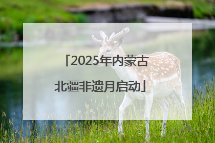 2025年内蒙古北疆非遗月启动