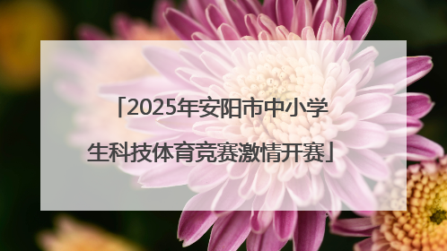 2025年安阳市中小学生科技体育竞赛激情开赛