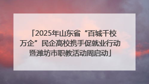 2025年山东省“百城千校万企”民企高校携手促就业行动暨潍坊市职教活动周启动