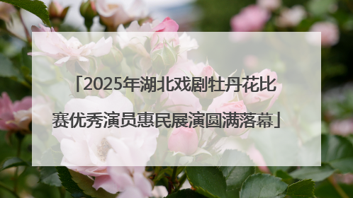 2025年湖北戏剧牡丹花比赛优秀演员惠民展演圆满落幕