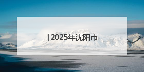 2025年沈阳市网络文化企业进校园双选活动正式启动