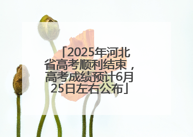 2025年河北省高考顺利结束，高考成绩预计6月25日左右公布