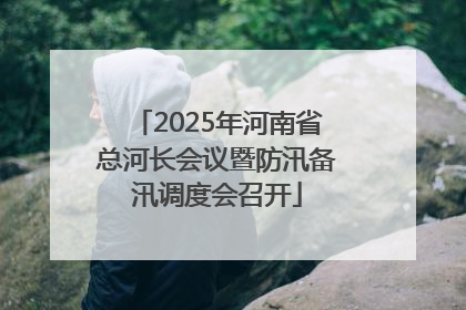 2025年河南省总河长会议暨防汛备汛调度会召开