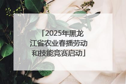 2025年黑龙江省农业春播劳动和技能竞赛启动