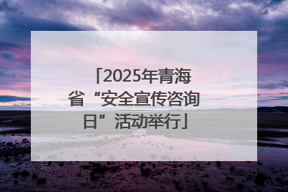 2025年青海省“安全宣传咨询日”活动举行