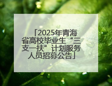 2025年青海省高校毕业生“三支一扶”计划服务人员招募公告