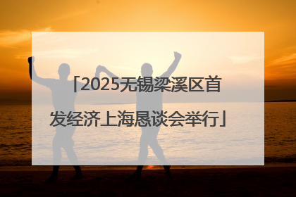 2025无锡梁溪区首发经济上海恳谈会举行