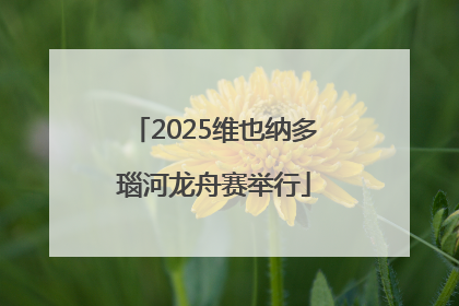 2025维也纳多瑙河龙舟赛举行