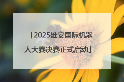 2025雄安国际机器人大赛决赛正式启动