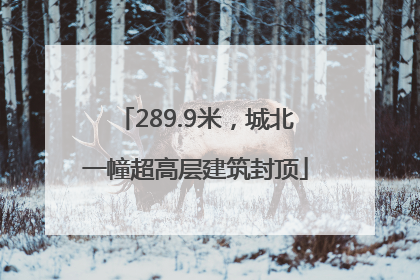 289.9米，城北一幢超高层建筑封顶