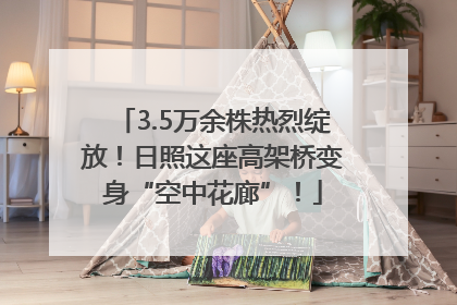 3.5万余株热烈绽放！日照这座高架桥变身“空中花廊”！