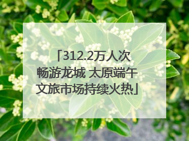 312.2万人次畅游龙城 太原端午文旅市场持续火热