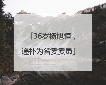 36岁杨旭恒，递补为省委委员