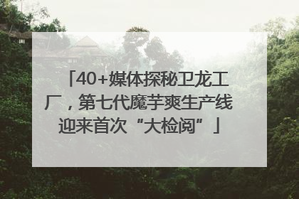 40+媒体探秘卫龙工厂，第七代魔芋爽生产线迎来首次“大检阅”