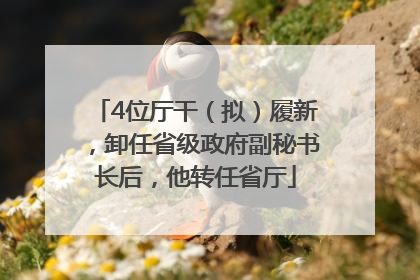 4位厅干（拟）履新，卸任省级政府副秘书长后，他转任省厅
