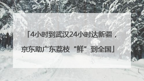 4小时到武汉24小时达新疆，京东助广东荔枝“鲜”到全国