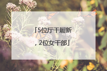 5位厅干履新，2位女干部